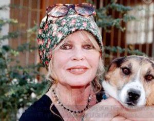 Brigitte Bardot 91 yaşında hayatını kaybetti