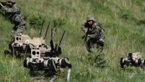 Türk Ordusu Köpek Robotlar